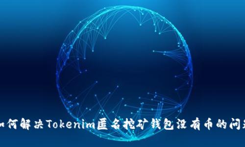 如何解决Tokenim匿名挖矿钱包没有币的问题