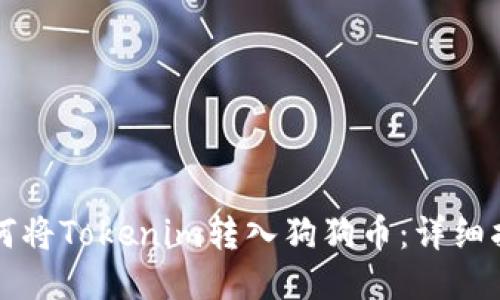 如何将Tokenim转入狗狗币:详细指南