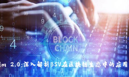 Tokenim 2.0:深入解析BSV在区块链生态中的应用与发展