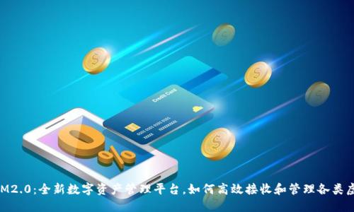 TokenIM2.0:全新数字资产管理平台,如何高效接收和管理各类虚拟货币