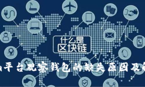 Tokenim平台观察钱包的缺失原因及解决方案