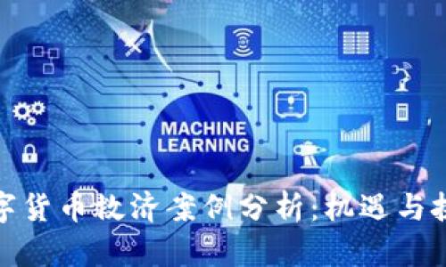 数字货币救济案例分析:机遇与挑战