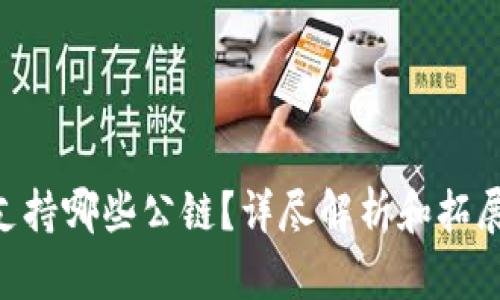Tokenim支持哪些公链?详尽解析和拓展应用前景