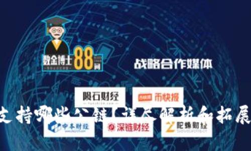 Tokenim支持哪些公链?详尽解析和拓展应用前景