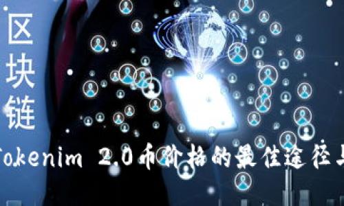 获取Tokenim 2.0币价格的最佳途径与策略