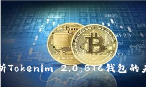 深度解析Tokenim 2.0:BTC钱包的未来之路