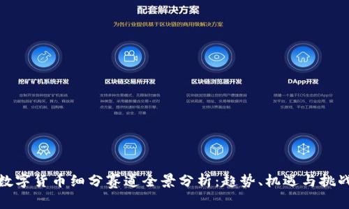 数字货币细分赛道全景分析:趋势、机遇与挑战