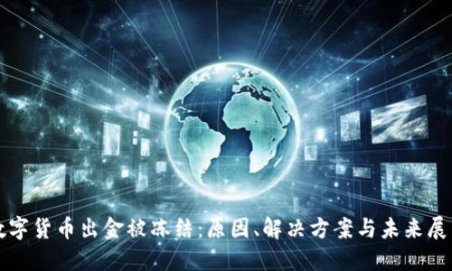 数字货币出金被冻结:原因、解决方案与未来展望
