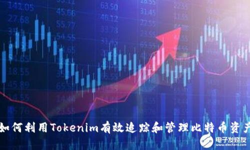 如何利用Tokenim有效追踪和管理比特币资产
