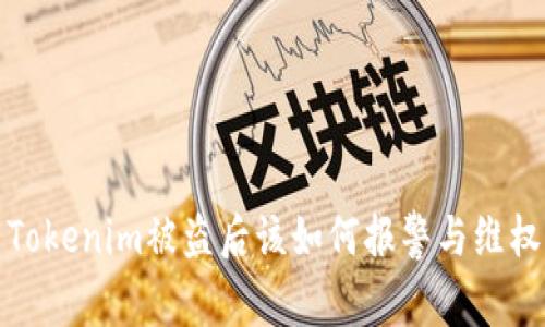 Tokenim被盗后该如何报警与维权?