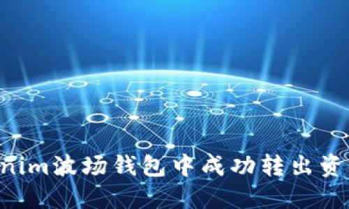 如何在Tokenim波场钱包中成功转出资金:详尽指南