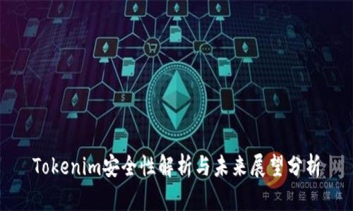 Tokenim安全性解析与未来展望分析