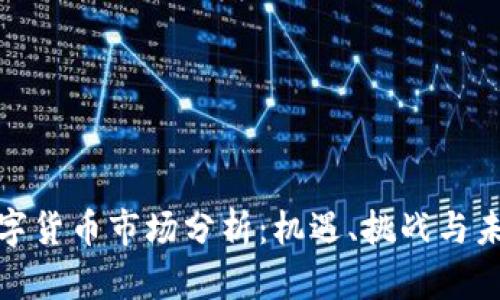 全球数字货币市场分析:机遇、挑战与未来趋势