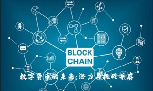 数字货币的未来:潜力与挑战并存