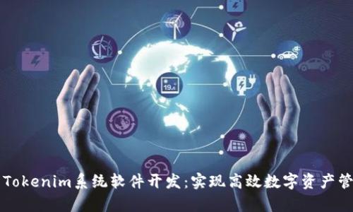 全面解析Tokenim系统软件开发:实现高效数字资产管理与交易