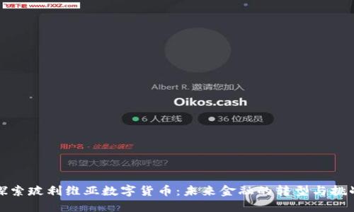 探索玻利维亚数字货币:未来金融的转型与挑战