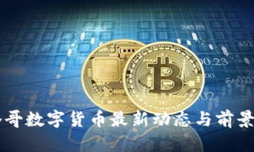 摩洛哥数字货币最新动态与前景分析