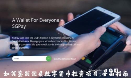 如何鉴别优质数字货币投资项目:全面指南