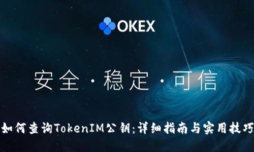 如何查询TokenIM公钥:详细指南与实用技巧