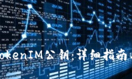 如何查询TokenIM公钥:详细指南与实用技巧