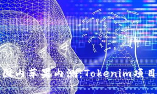 如何参与国内苹果内测:Tokenim项目全面解析