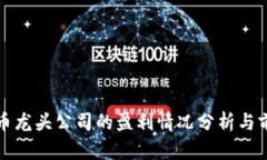 数字货币龙头公司的盈利