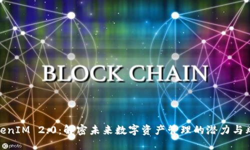 TokenIM 2.0：解密未来数字资产管理的潜力与风险