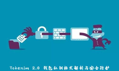 Tokenim 2.0 钱包私钥格式解析与安全防护