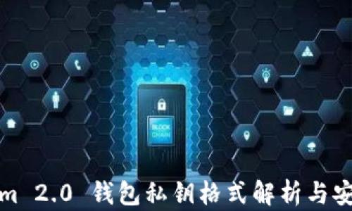 Tokenim 2.0 钱包私钥格式解析与安全防护