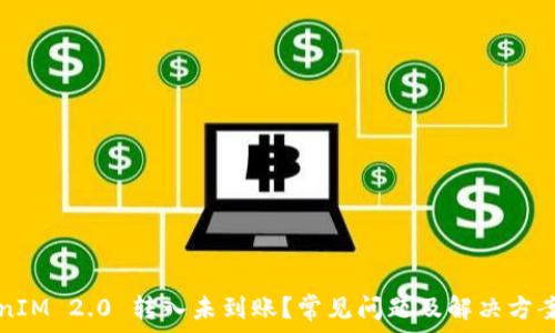 TokenIM 2.0 转入未到账?常见问题及解决方案指南