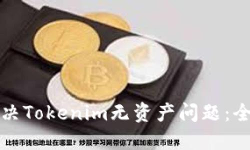 如何解决Tokenim无资产问题:全面指南