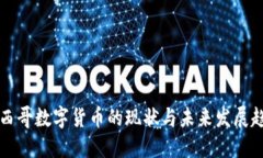 墨西哥数字货币的现状与