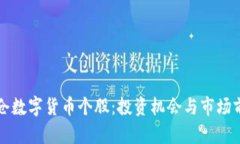 机构重仓数字货币个股：