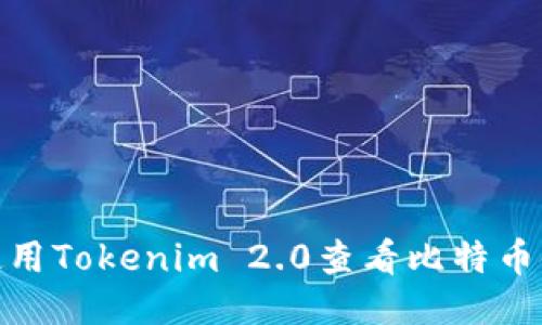 如何使用Tokenim 2.0查看比特币链通道