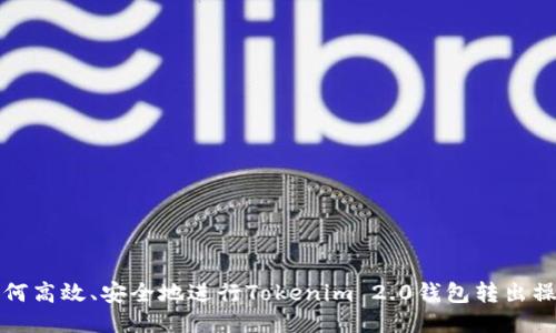 如何高效、安全地进行Tokenim 2.0钱包转出操作