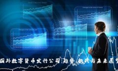 国外数字货币发行公司：
