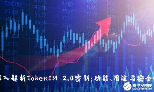 深入解析TokenIM 2.0密钥:功能、用途与安全性
