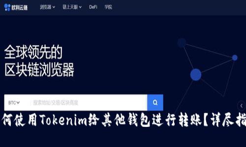 如何使用Tokenim给其他钱包进行转账？详尽指南
