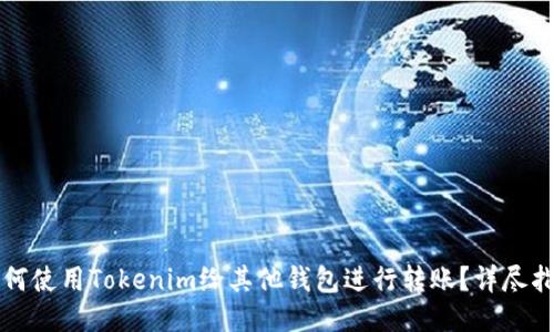 如何使用Tokenim给其他钱包进行转账？详尽指南