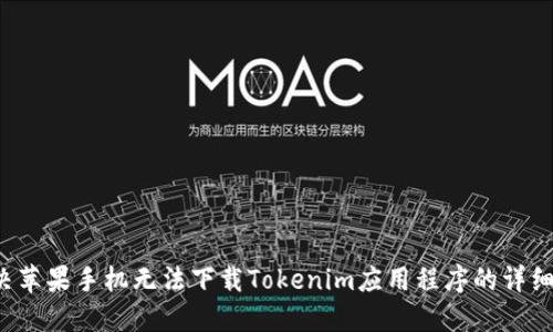  解决苹果手机无法下载Tokenim应用程序的详细指南