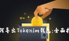 如何导出Tokenim钱包：全面