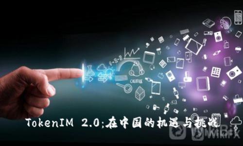 TokenIM 2.0:在中国的机遇与挑战