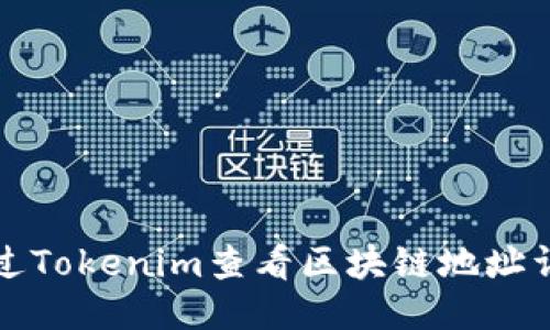 如何通过Tokenim查看区块链地址详细信息