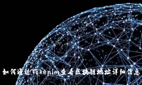 如何通过Tokenim查看区块链地址详细信息