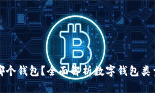 数字货币存哪个钱包?全面解析数字钱包类型及选择指南