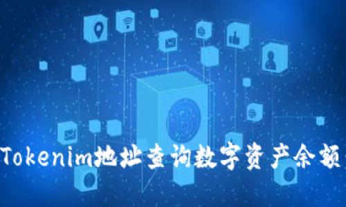 如何通过Tokenim地址查询数字资产余额:全面指南