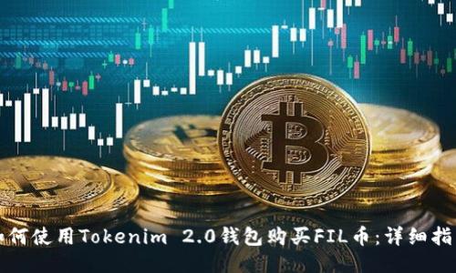 如何使用Tokenim 2.0钱包购买FIL币:详细指南