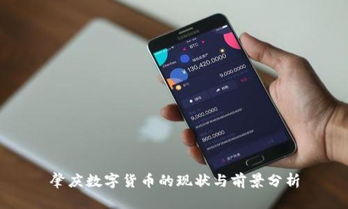 肇庆数字货币的现状与前景分析