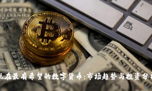 现在最有希望的数字货币:市场趋势与投资分析