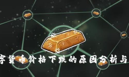SEAN数字货币价格下跌的原因分析与市场展望